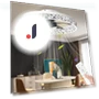 Ceiling Fan Light with LED Lighting and Remote Control — Ceiling Fan Lighting Solutions, Seahorse Home