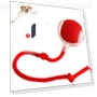 Chewie Ball Rolling Pet Toy — Balls, Diana Pet Stuff