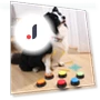 Dog Communication Buttons — Whistles, Smart Pet Supplies