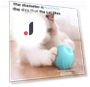 Interactive Smart Cat Toy Powerball 2.0 — Cat Playthings, Pet Zooo
