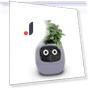 Smart Care Smart LED — Artificial Plants, Premium SPEED
