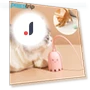 Smart Cat Toy — Cat Playthings, Pawstrip