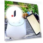 Smart Garden Irrigation Controller — Controllers, Crown Global