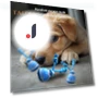 Automatic Smart Toy for Dogs with Moving Ball and Squeaky Motion Sensor — Automatic Launchers, Vogue Wardrobe