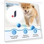 Interactive Pet Ball Toy — Interactive Animal Companions, Kitty Cat House