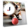 Interactive Smart Ball for Pets — Cat Playthings, Pet park