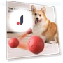Interactive Smart Ball for Pets — Cat Playthings, I love My Pet