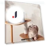Rechargeable Smart Pet Water Fountain — Fountains, Zhiruei
