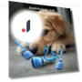 Smart Automatic Moving Ball Squeaky Dog Toy — Balls, Easy Fitness