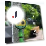 Smart Watering Timer with Dual Dials — Controllers, TrendVibeCN
