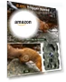 Превью Trail Camera — Outdoor & Wildlife Cameras, EBXDW