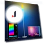 AI Floor Lamp — Standing Lights, Lepro