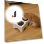 Automatic Cat Food Dispenser — Feeders, Jinkuinduy