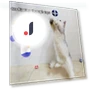 Interactive Cat Toy Ball Launcher — Cat Playthings, Pansyf