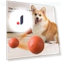 Interactive Smart Ball for Pets — Interactive Animal Companions, Wangpuya