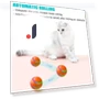 Interactive Smart Ball for Dogs — Balls, Yoga Da