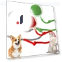 Rechargeable Electric Cat Toy Ball — Cat Playthings, Chengruike