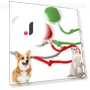 Rechargeable Electric Cat Toy Ball — Cat Playthings, Chengruike