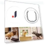 Silent Pet Door with 4 Locking Modes — Doorbells, gaodaidecoe