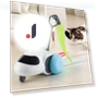 Smart Toy for Cats — Interactive Animal Companions, Jiaqiinfee