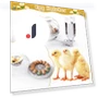 Automatic Egg Turner for Hatching — Egg Cookers, Aquariusg
