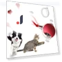 Interactive USB-Rechargeable Smart Pet Ball — Interactive Animal Companions, Pet daily necessities