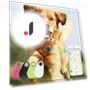 Mini GPS Tracker for Pets — Location Tracking Devices, Wrigleys