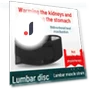 Self-heating Waist Support Belt with Steel Plate — Back Braces, AI Supermarket