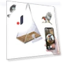 Smart Bird Feeder with Camera — Backyard Birding, happyyu