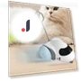 Fun Smart Toy Car for Cats — Cat Playthings, Jinkuinduy