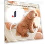 Multifunctional Pet Dryer — Dander Removers, Crown Global
