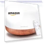 Превью Essential Oil Diffuser with Remote Control — Diffusers, InnoGear