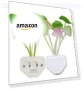 Превью Sensor LED Night Light Plug-in Wall Lamp — Night Lights, AUSAYE