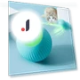 Automatic Rolling Toy for Cats — Cat Playthings