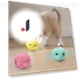 Interactive Cat Toy Ball — Cat Playthings, 2599 RoRo