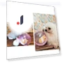 Smart Rolling Ball for Cats — Cat Playthings, Be Free