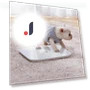 Smart Scale 2 — Weight Management Tools, Mijia