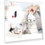 3D Smart Pet Massager — Dander Removers