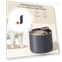 Automatic Water Fountain for Cats — Pet Hydration Solutions, Pawstrip