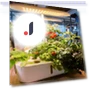 Smart Grow Light for Plants — Growing Lamps, Thunder And Fire