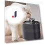 Automatic Cat Water Dispenser — Pet Hydration Solutions, Pawstrip