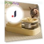 Automatic Pet Water Fountain and Feeder — Fountains, Pawstrip