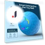 Interactive Rechargeable Automatic Rolling Ball for Dogs — Automatic Launchers, Yiran Furniture