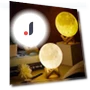 Moon Lamp with Wooden Base — Lighting, HOMEKA