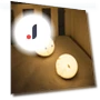 Night Light Pig with Touch Switch — Night Lights, Binchi Lighting Appliances