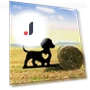 Smart Garden Peg for Dogs — Garden Stakes, CIFbuy