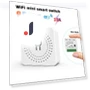 WiFi Smart Switch with Remote Voice Control — Smart Home Modules, Red dress
