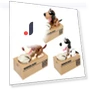Automated Money Box — Savings & Piggy Banks, Simple and warm