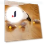 Interactive Cat Toy — Cat Playthings, Hungry Heart