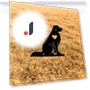 Smart Garden Peg for Dogs — Garden Stakes, CIFbuy